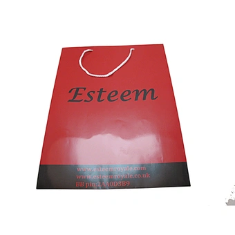 Eco-Friendly Red High-end Custom Gift Bags at Low Prices