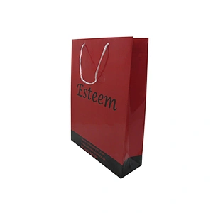 Eco-Friendly Red High-end Custom Gift Bags at Low Prices