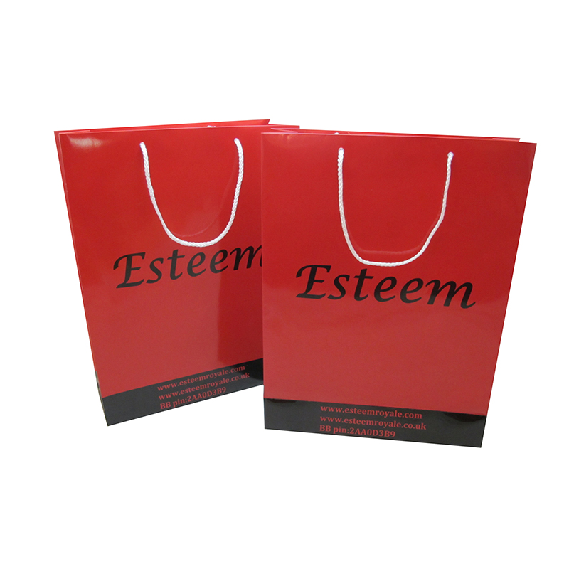 Eco-Friendly Red High-end Custom Gift Bags at Low Prices